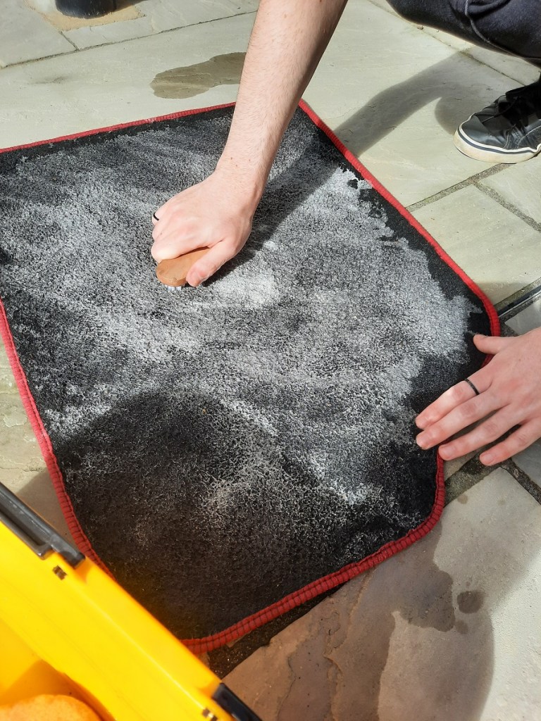 scrub car floor mats