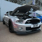 shelby GT500